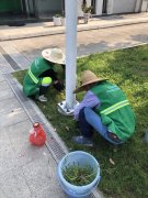 最美丽的人10